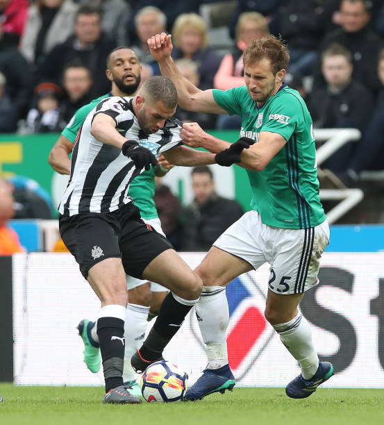 了品牌形象 了品牌形象